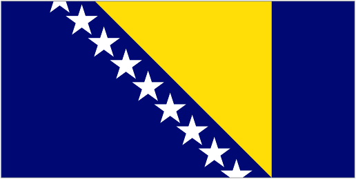 Bosnian Army Flag