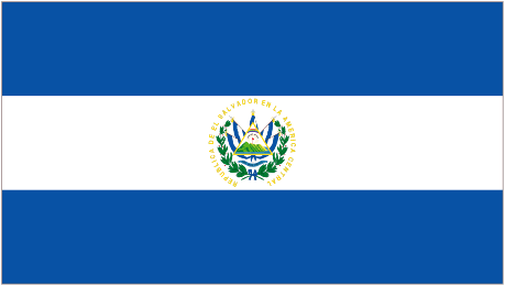 Image of State Flag