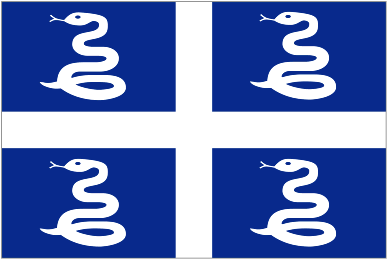 Image of Local Flag (unofficial)