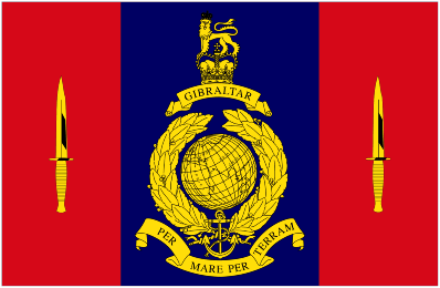 Image of 45 Commando Royal Marines