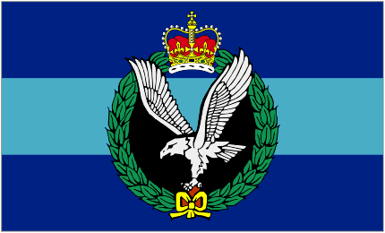 Image of Army Air Corps Camp Flag