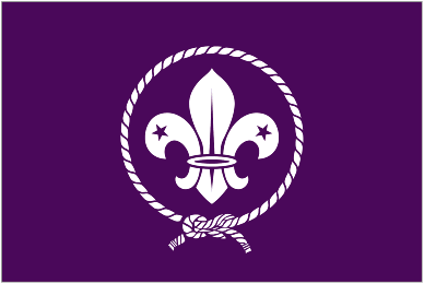 Image of World Scout Flag